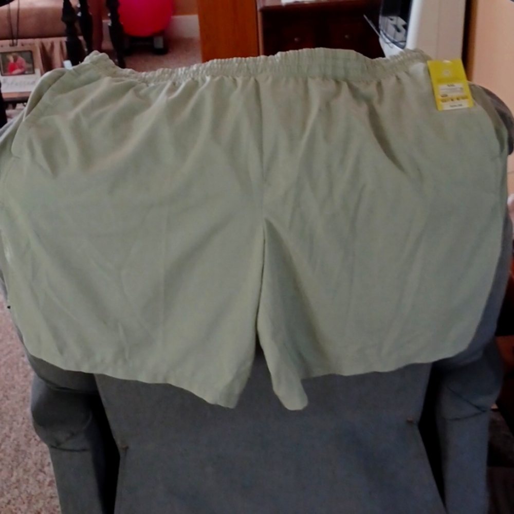 Ladies shorts